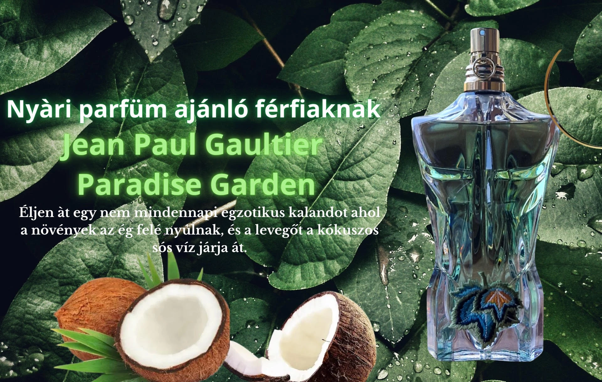 Parfdek.hu