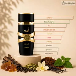 Lattafa – Asad EDP (Férfiaknak) 100ML